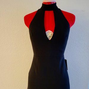 Express Mock Neck Keyhole Sleeveless Dress